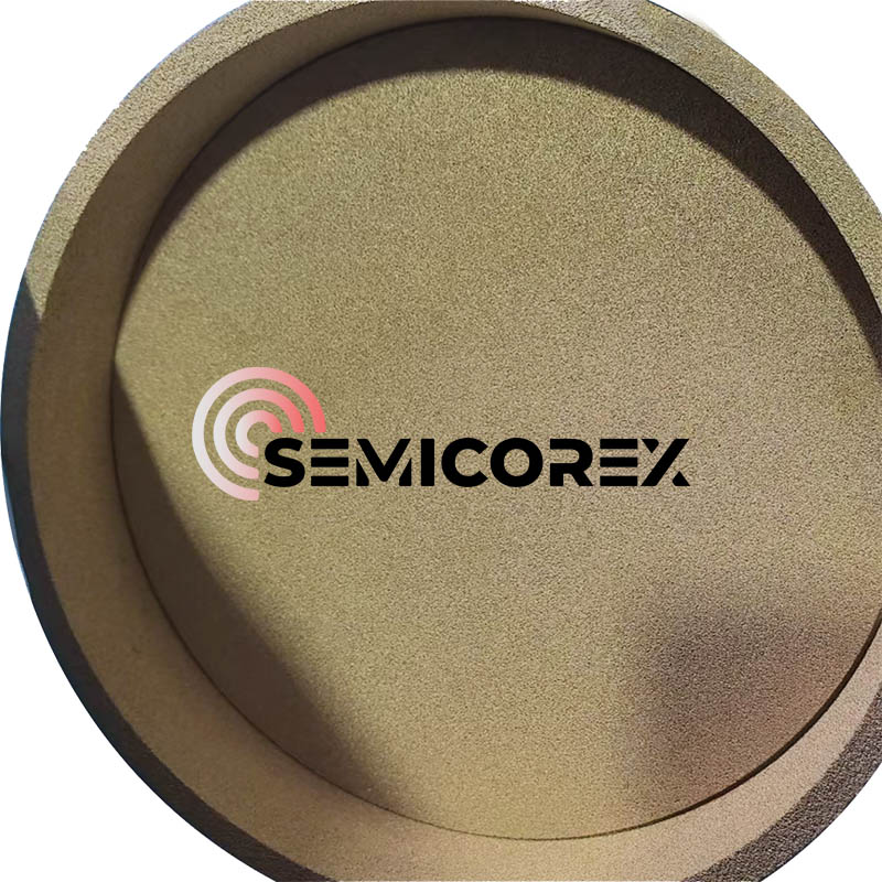 Porøse tantalkarbidringer